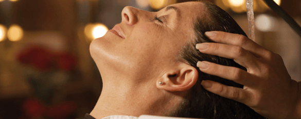 Carnival Cruise Lines Carnival Celebration Salon.png